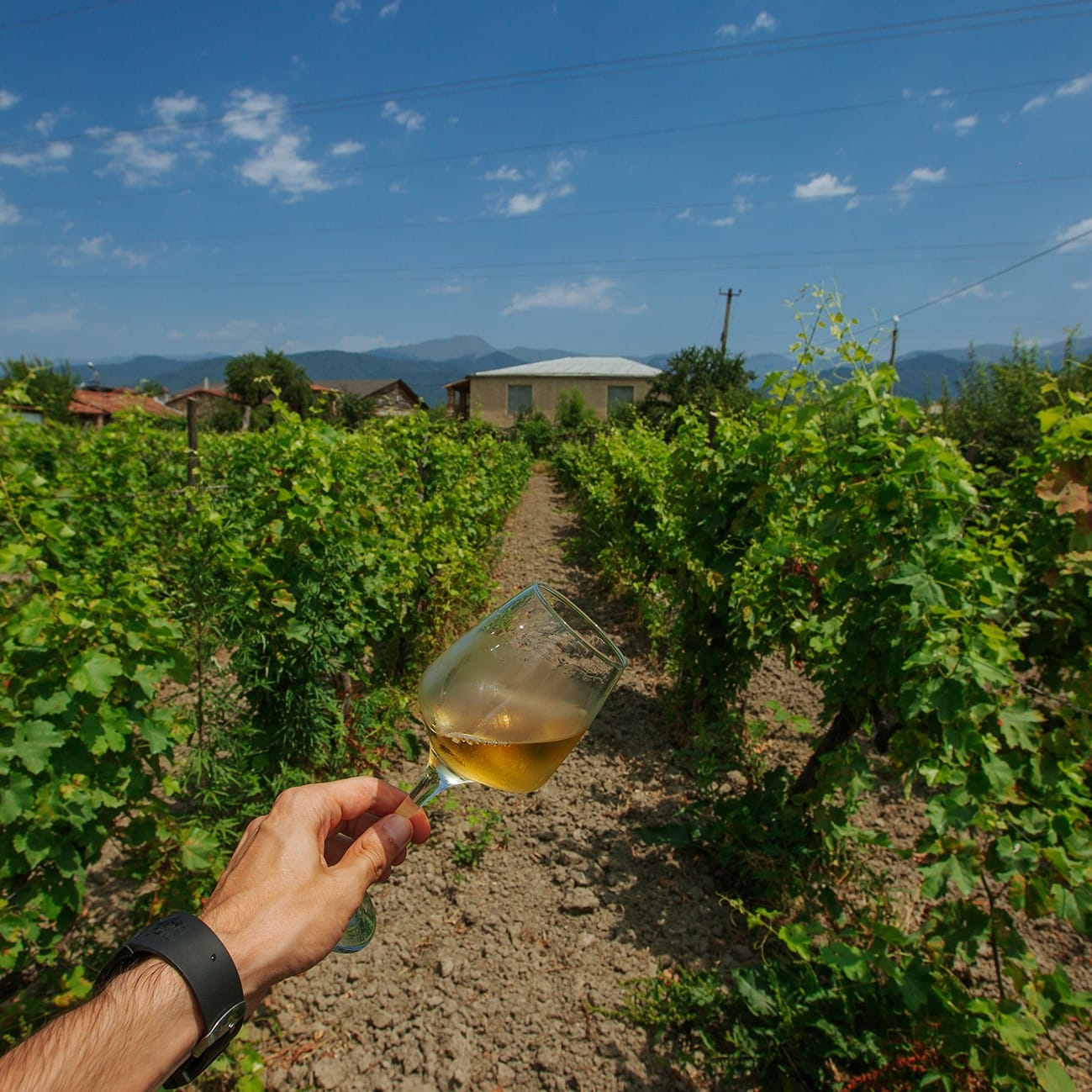 Man Holding a Glass of Amber Wine with a Georgian Winery on the Background